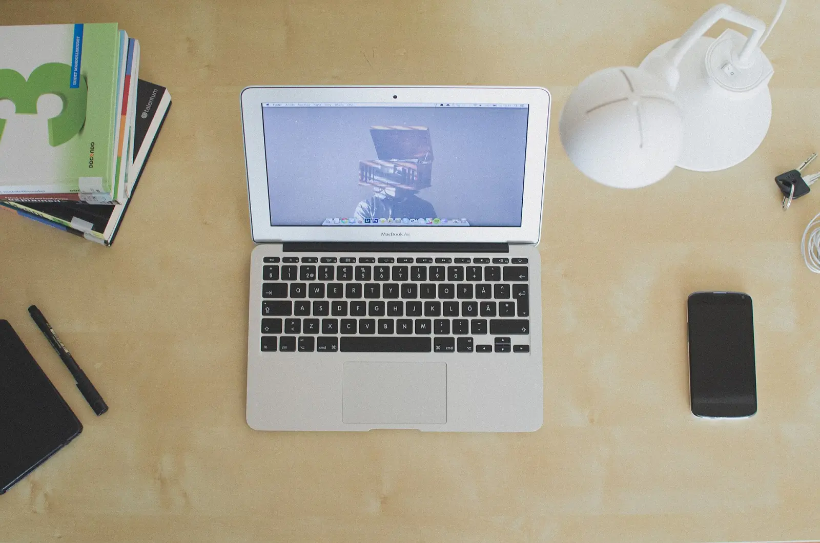 Laptop and plant on a workspace desk