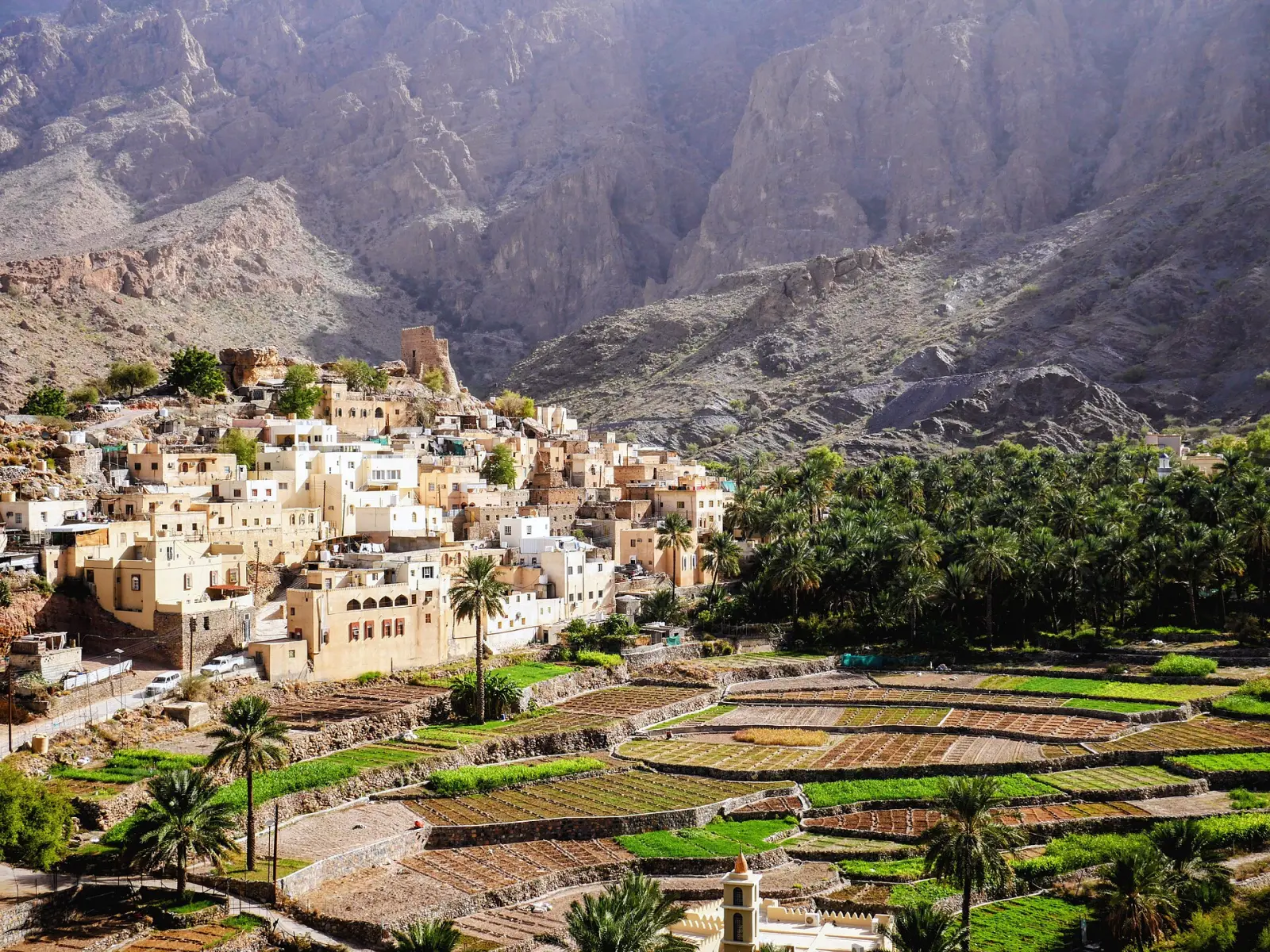 Misfat al Abriyeen village and its date-palm terraces
