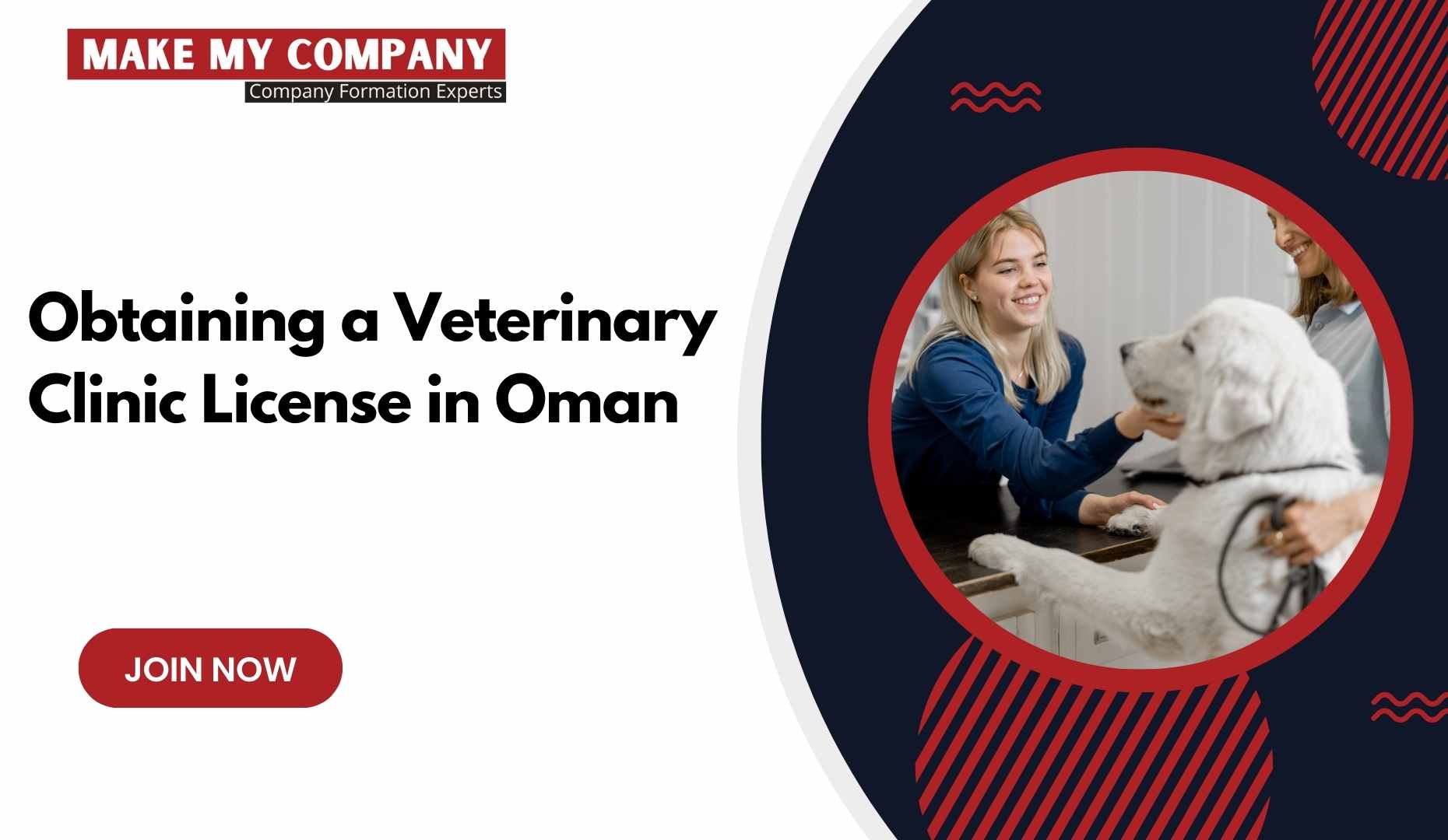 Obtaining a Veterinary Clinic License in Oman